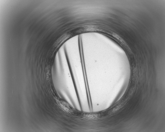 X0000058780801200510282009