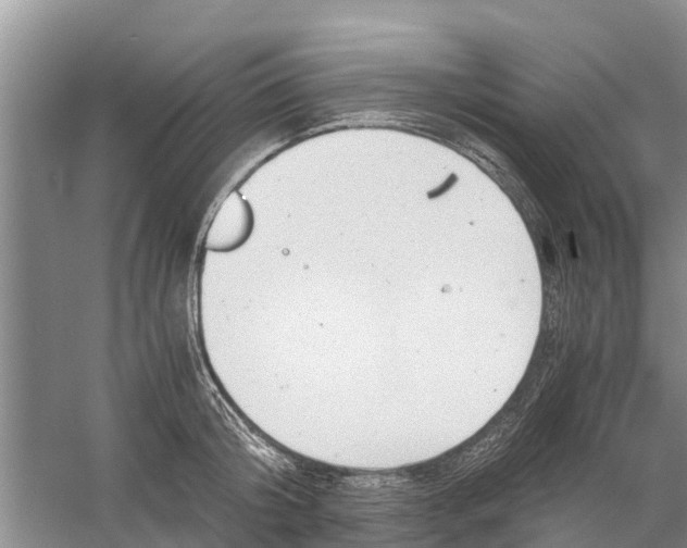 X0000058780804200510282009