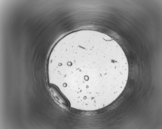 X0000058780808200510282009