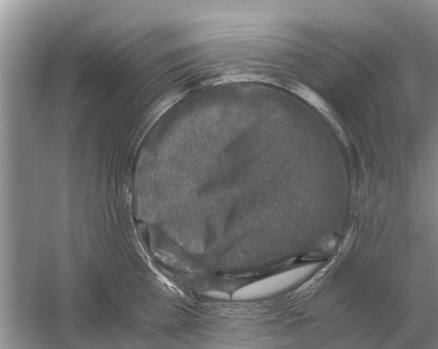 X0000058780809200510282009