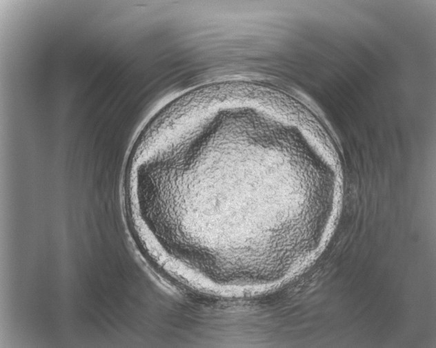 X0000058780811200510282009