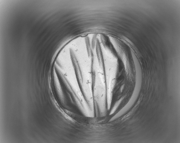 X0000058780812200510282009