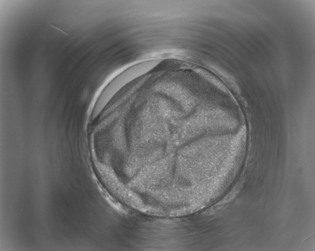 X0000058780816200510282009