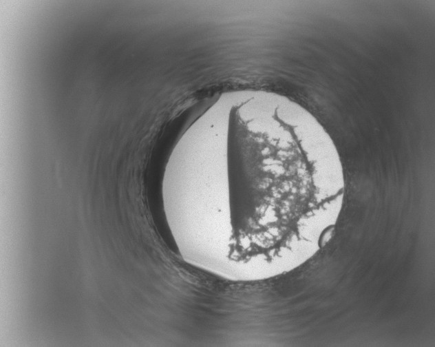 X0000058780817200510282008