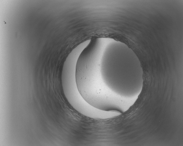 X0000058780818200510282008