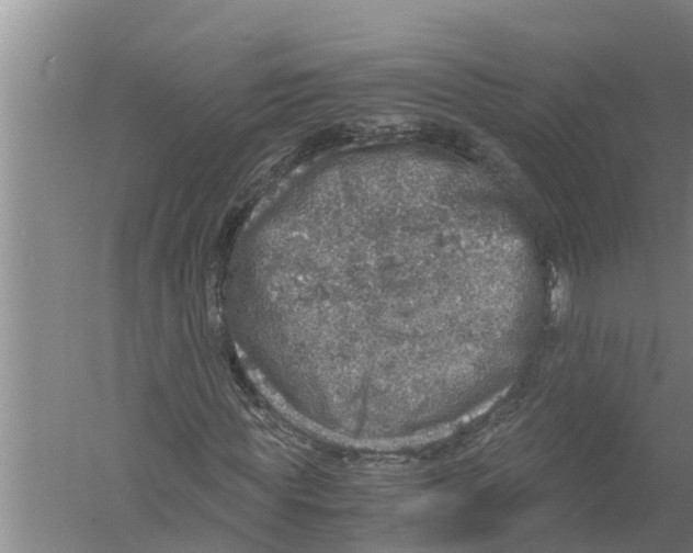 X0000058780819200510282008