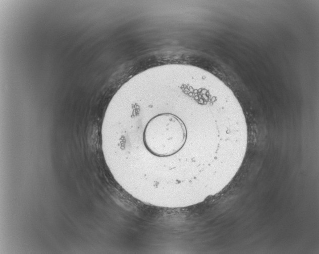 X0000058780820200510282008