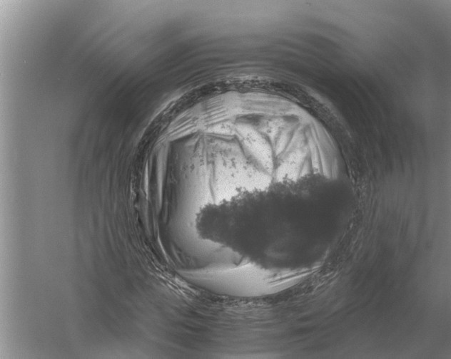 X0000058780823200510282008