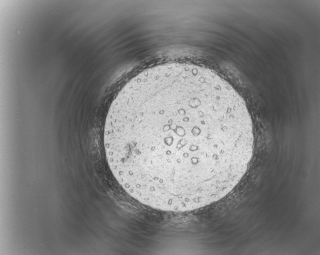 X0000058780824200510282008