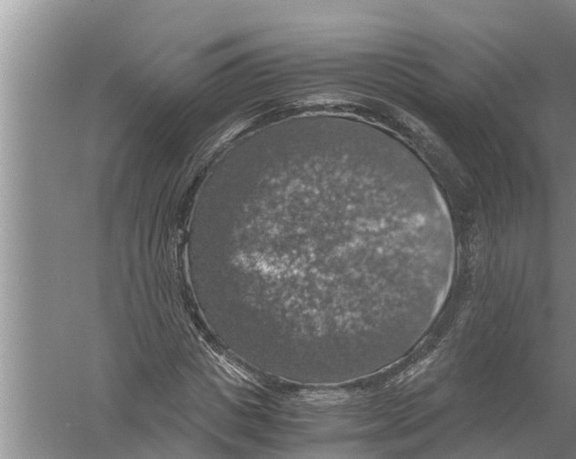 X0000058780825200510282008