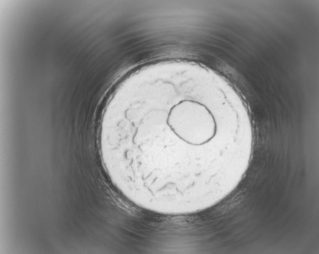 X0000058780828200510282008