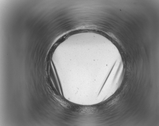 X0000058780830200510282008