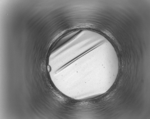 X0000058780834200510282009