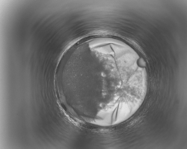 X0000058780839200510282009