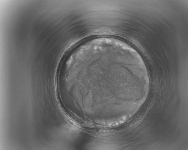 X0000058780840200510282009