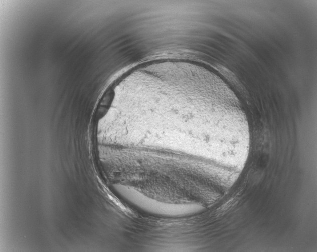 X0000058780846200510282009