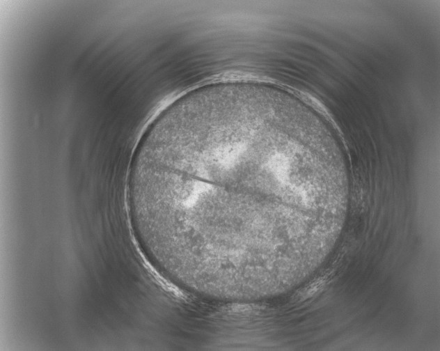 X0000058780847200510282009