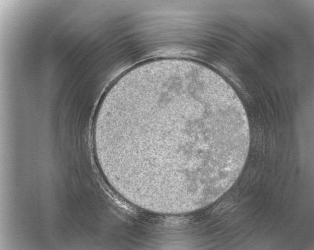 X0000058780848200510282009