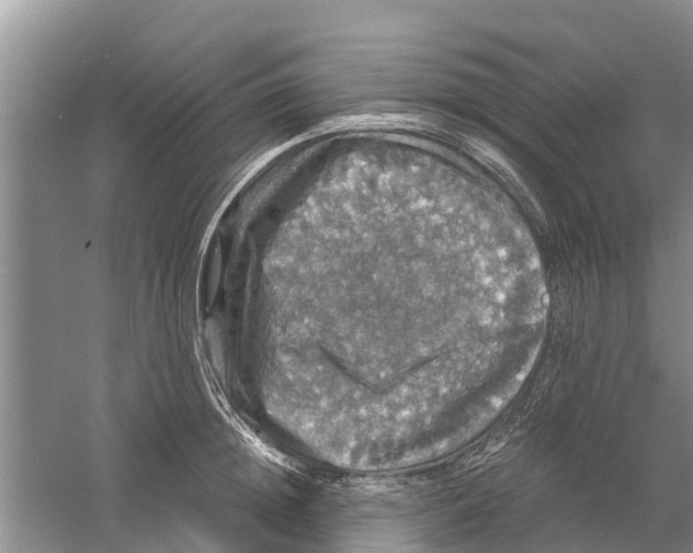 X0000058780852200510282009