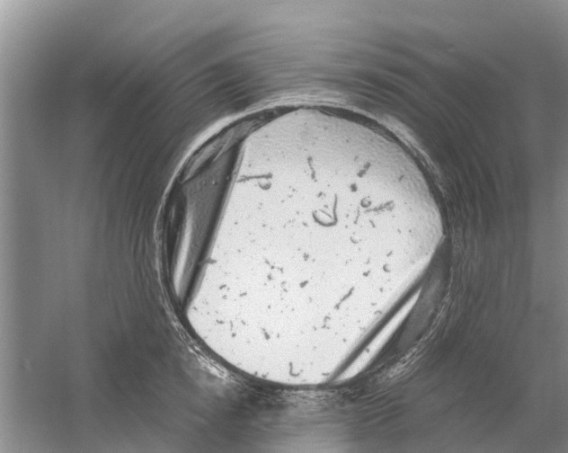 X0000058780854200510282009