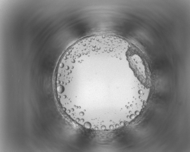 X0000058780856200510282009