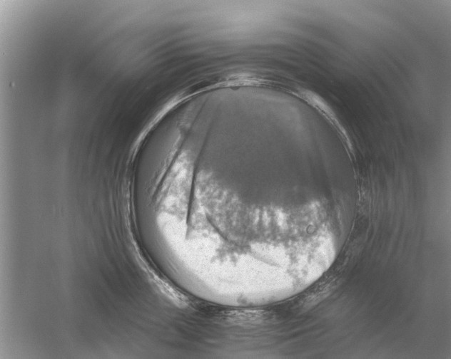 X0000058780859200510282009