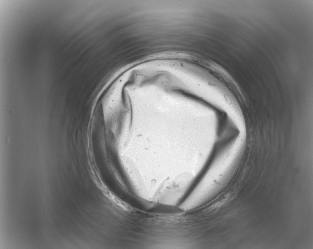 X0000058780860200510282009