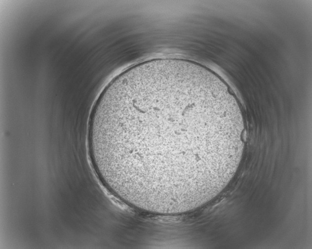 X0000058780861200510282009