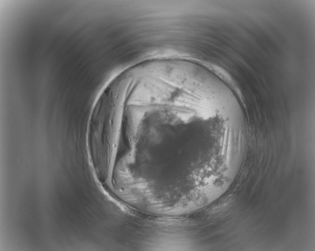 X0000058780863200510282009