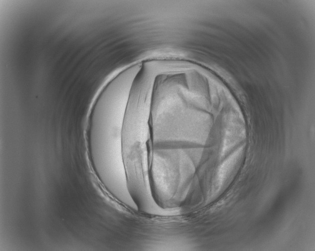 X0000058780864200510282009