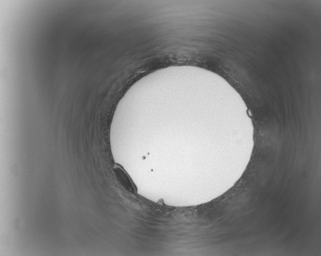 X0000058780865200510282008