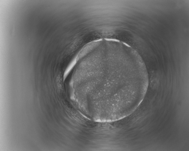 X0000058780866200510282008