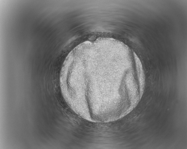 X0000058780870200510282008