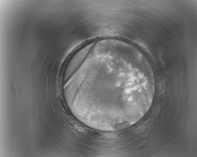 X0000058780878200510282008