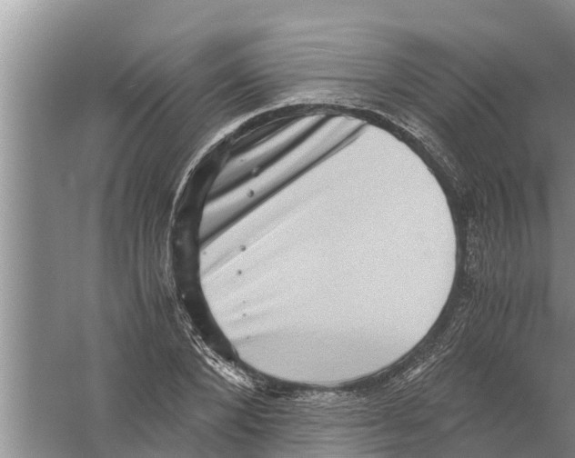 X0000058780880200510282008