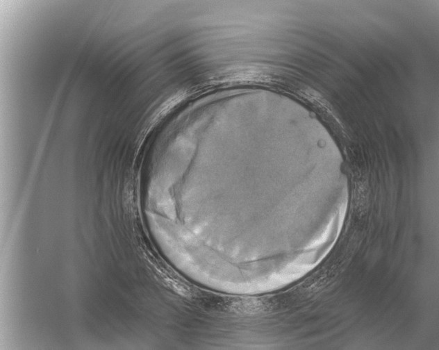 X0000058780882200510282008