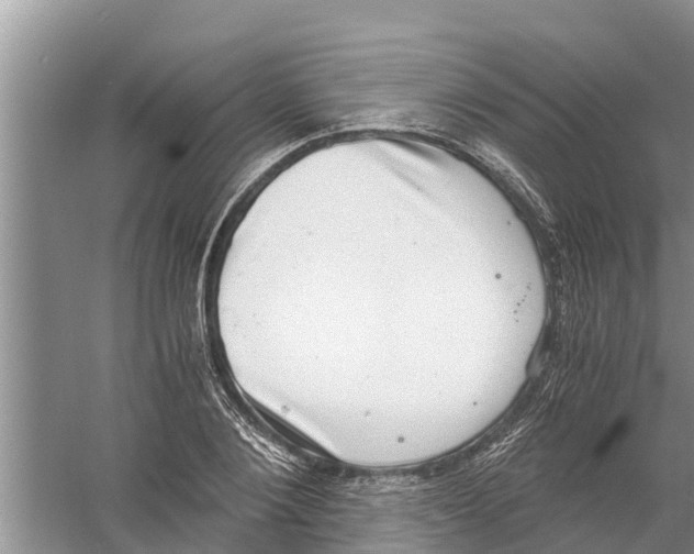 X0000058780884200510282008