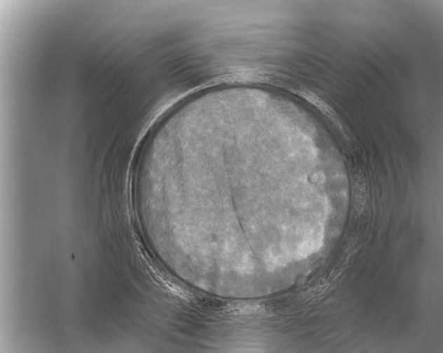 X0000058780886200510282008