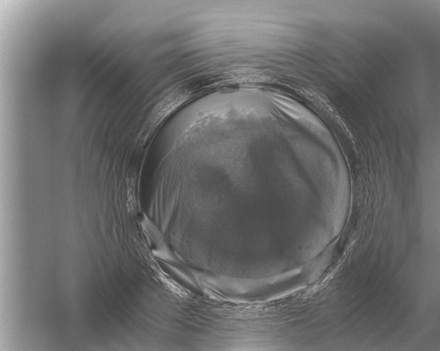 X0000058780889200510282008