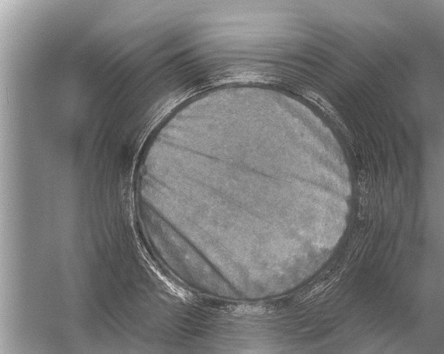 X0000058780890200510282008