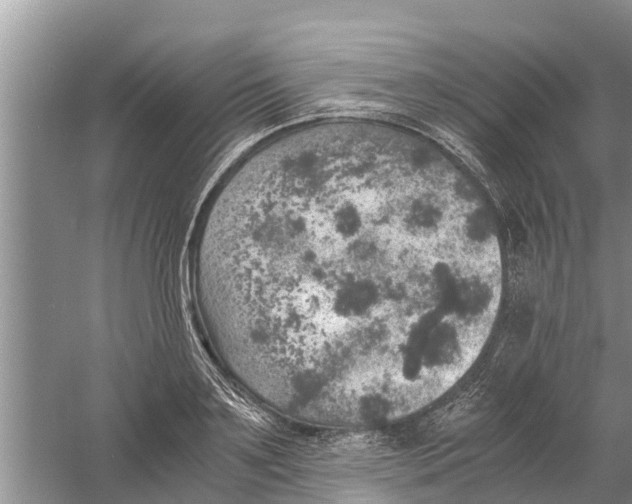 X0000058780891200510282008