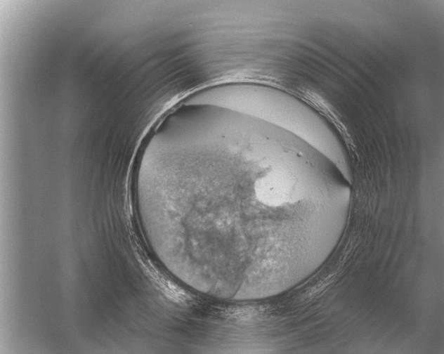 X0000058780892200510282008