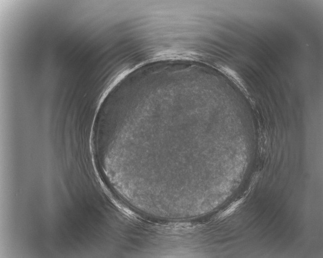 X0000058780893200510282008