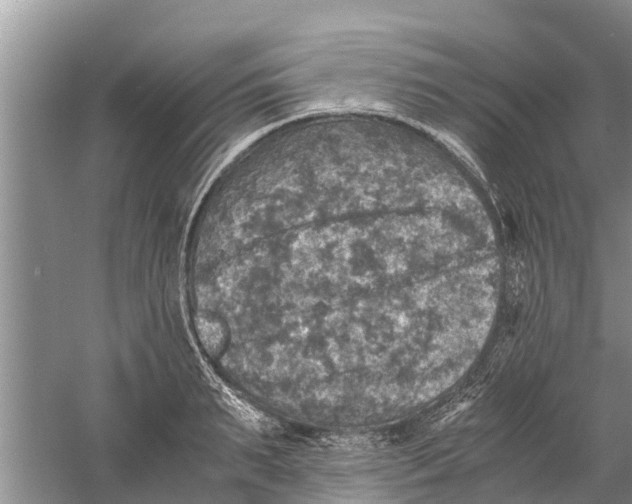 X0000058780895200510282008