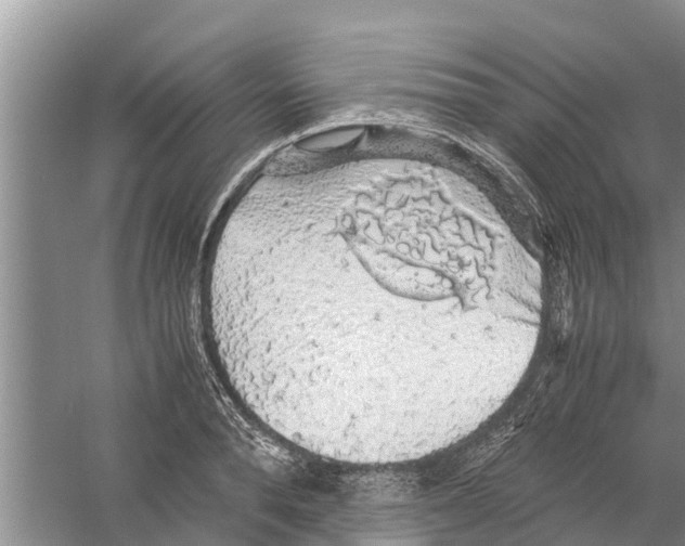 X0000058780896200510282008