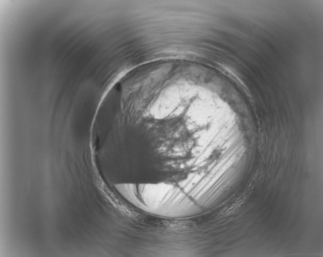 X0000058780899200510282008