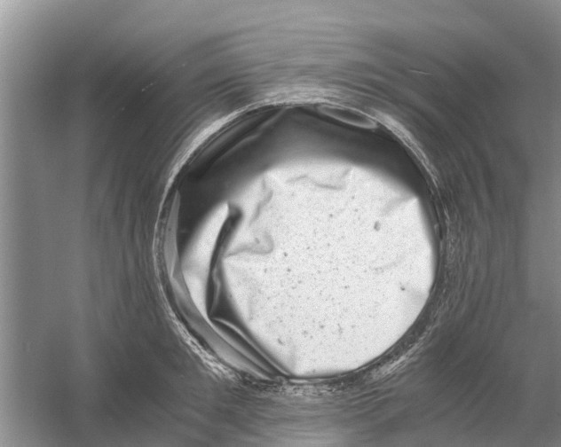 X0000058780901200510282008