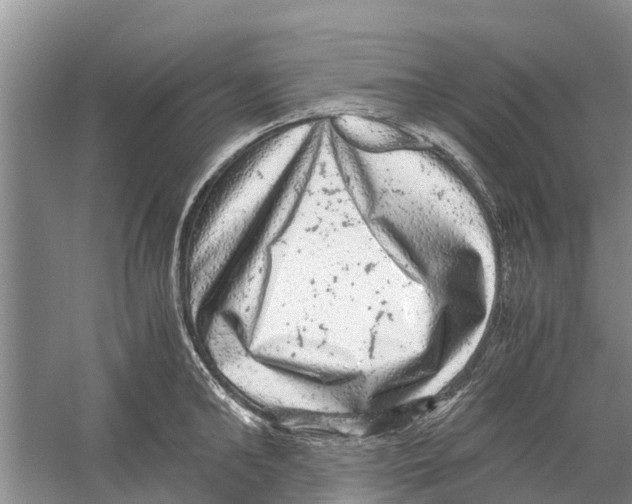 X0000058780902200510282008