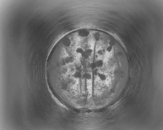 X0000058780903200510282008