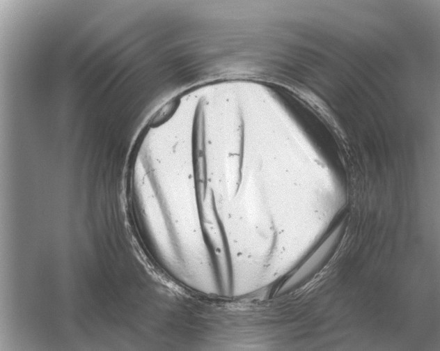 X0000058780904200510282008